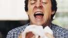 A sneeze can contain up to two million virus particles.