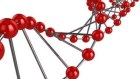 Unregulated experiments are being conducted using the gene  editing technology CRISPR.