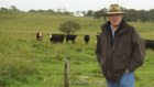 Alasdair Macleod is developing software to manage grass-fed cattle.