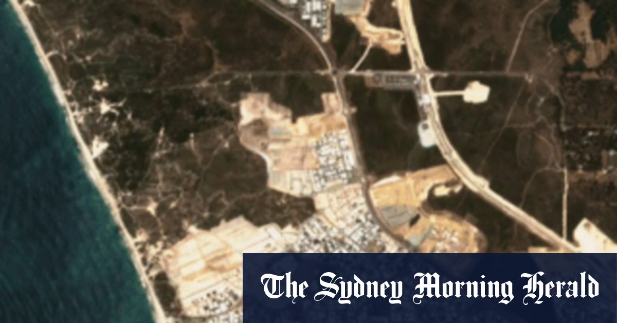 Developer Peet fined for clearing black cockatoo habitat