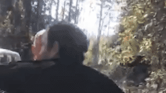 Two logging contractors have been found gulty of assaulting ecologist Mark Graham.