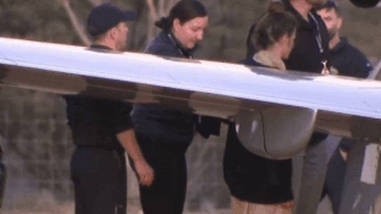 Wilga found version 2 GIF