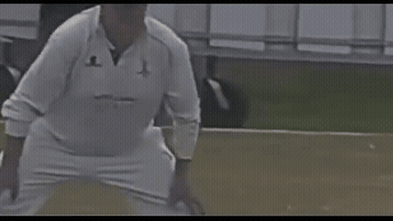 Articles question online backlash in ‘spirit of cricket’ dispute