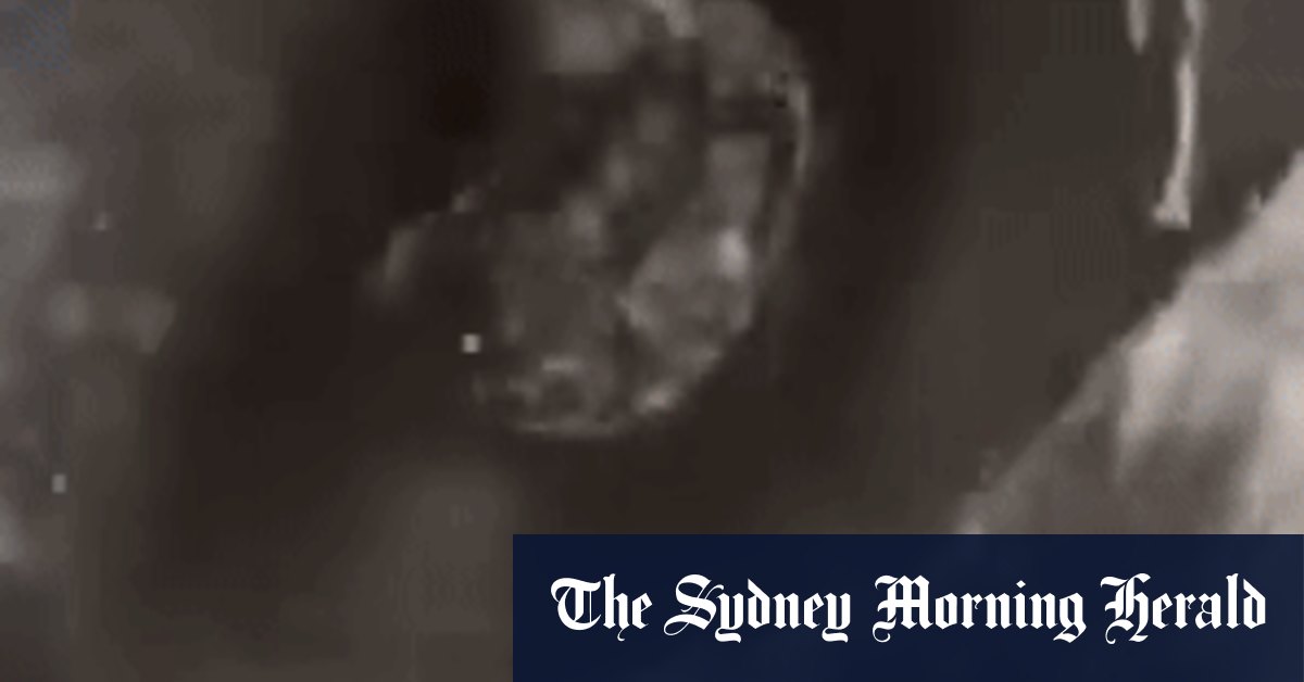 Toilet humour: Reece Walsh drinks from ‘unused’ lavatory in latest prank