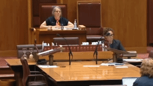 Shut it down: Lidia Thorpe at centre of Senate chaos