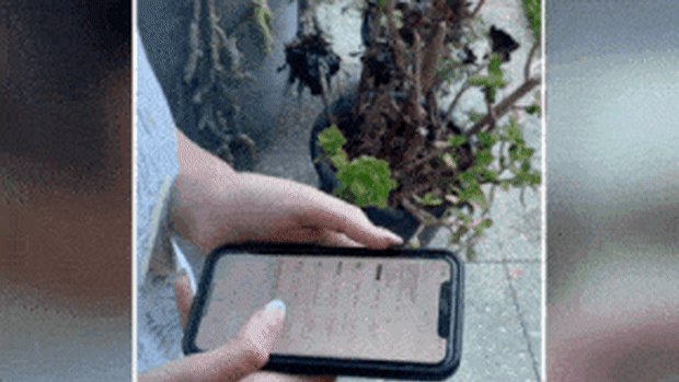 WA student’s ATAR score reaction video. Picture: TikTok