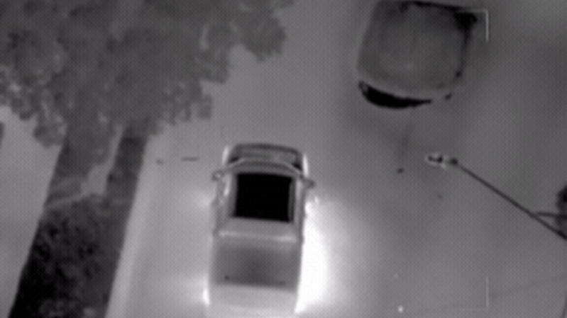 Logan police chase ends with boys, aged 11 to 14, charged over stolen vehicle