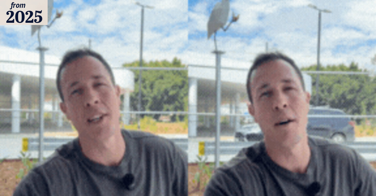 Brisbane bin chicken sculptures by Ryan Forster, aka Sethius Art, pop ...