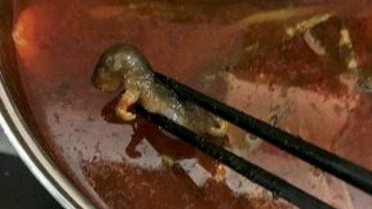The rat found in the hot pot. The image was circulated on China's social media.