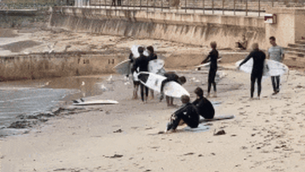 Surfers inspect the boy’s board after it was bitten by what is believed to have been a bull shark.