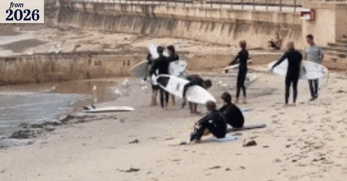 Boy describes terrifying moment shark attacked him on Sydney's northern  beaches