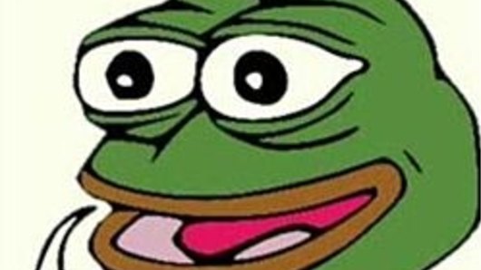 Pepe the Frog has been deemed an icon of hate groups for its use by the alt-right online.