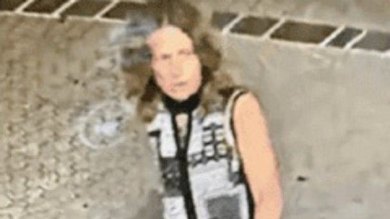 Woman missing in Brisbane River as fatal incidents mar start of Easter