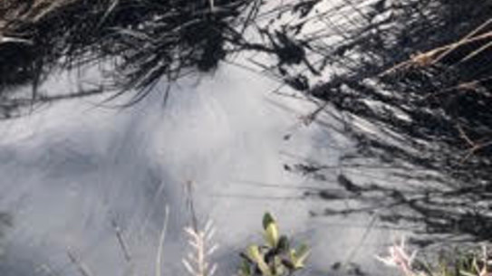 The EPA and Melbourne Water will continue its investigation and clean up efforts on Wednesday. 