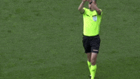 Video ref