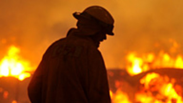 Australia suffered intense bushfires over the 2019-20 summer. 