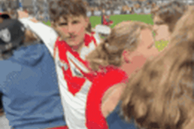 A brawl was filmed at the Lions v Swans match at the Gabba on Saturday.