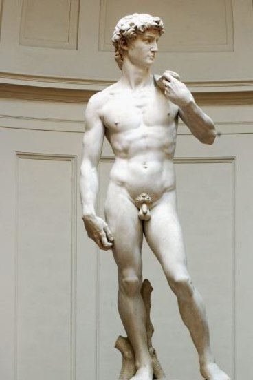 Artistiek precedent: Michelangelo's David.'s David.