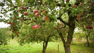 f6374b10006b69ed9299a678b25bd14694822571