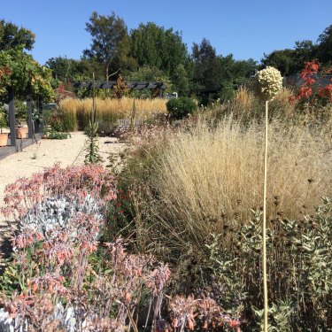 Peter May’s Kyneton garden in autumn this year.