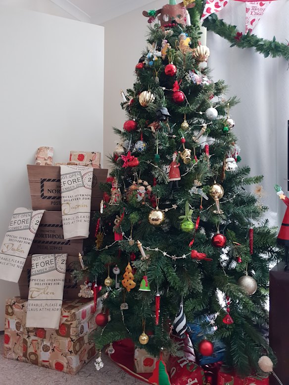 Just one of the many trees Kathryn has in her home.