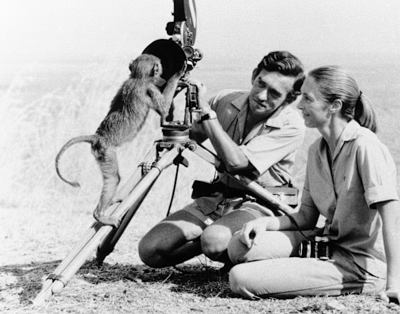 Jane Goodall with her first husband Hugo van Lawick with a camera and a friend in 1974.