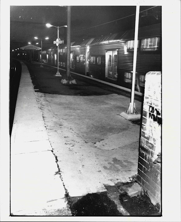Macdonaldtown station offended the artistic nature of John Baxter, who in 1986 painted the place pink. He called it “a dull, grey scar on the landscape in the middle of and even larger scar ... an immense industrial wasteland”.