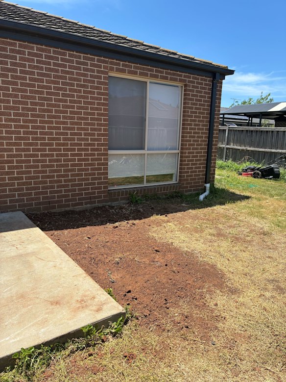 The patch of land where the toddler’s body was found.