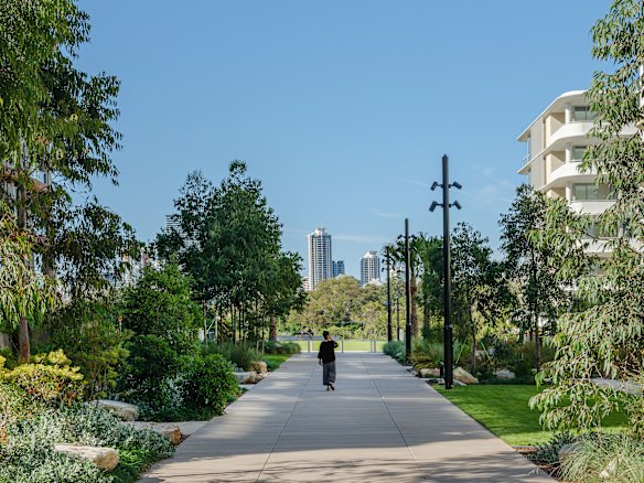 Naturalistic screening at a new housing development in Sydney.