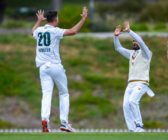 Beau Webster and Jake Weatherald celebrate a Sheffield Shield wicket for Tasmania.