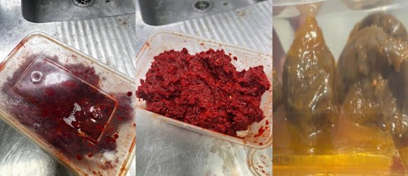 Authorities have identified the source of a suspected poisoning incident that resulted in five Logan residents, including a child, being hospitalised after they ingested rat bait last week.