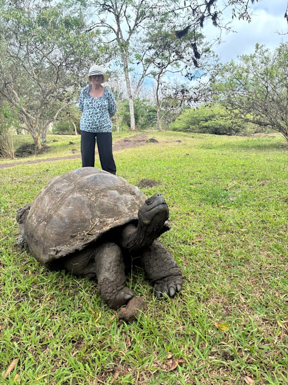 Kate McClymont, AKA ‘the baroness’ encounters a giant tortoise.