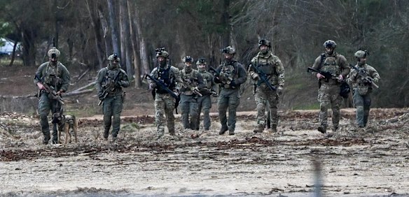 Police searching a plantation in Porepunkah in September.