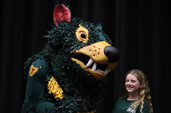  The future of the Tasmania Devils could be contingent on whether the new stadium is built.