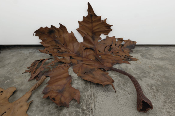 A recent show at Asbestos in Brunswick highlighted the beauty of a disintegrating leaf.