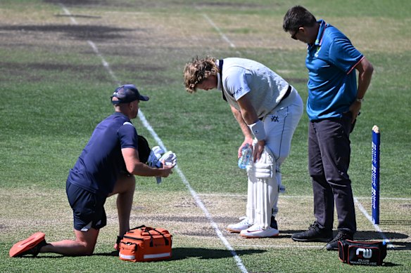 In trouble: Will Pucovski was hit on the helmet while batting for Victoria in 2024 – the 12th time he was diagnosed with concussion.