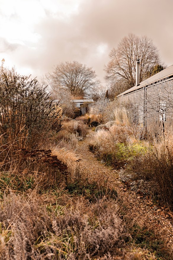 The same Trentham garden in its straw-coloured winter glory 