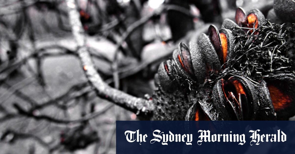 King Charles III and Cate Blanchett are among the supporters of the frozen bunker helping to save Australian plants from extinction