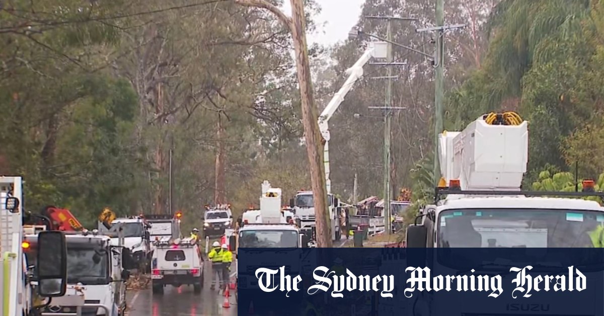 Clean-up continues in Brisbane after Sunday storms