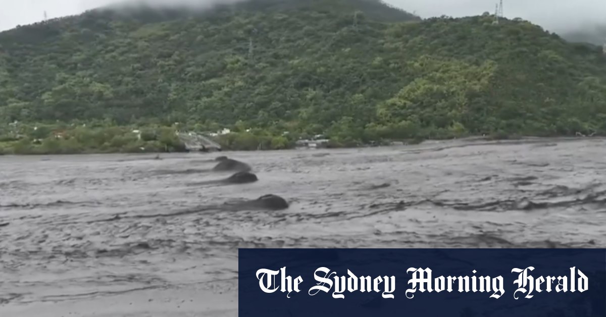 Deadly typhoon continues to ravage Hong Kong and China