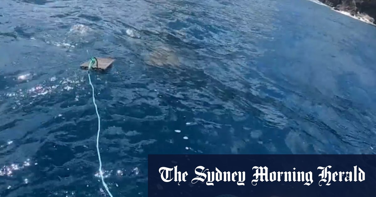 New bite-resistant shark suits put to the test