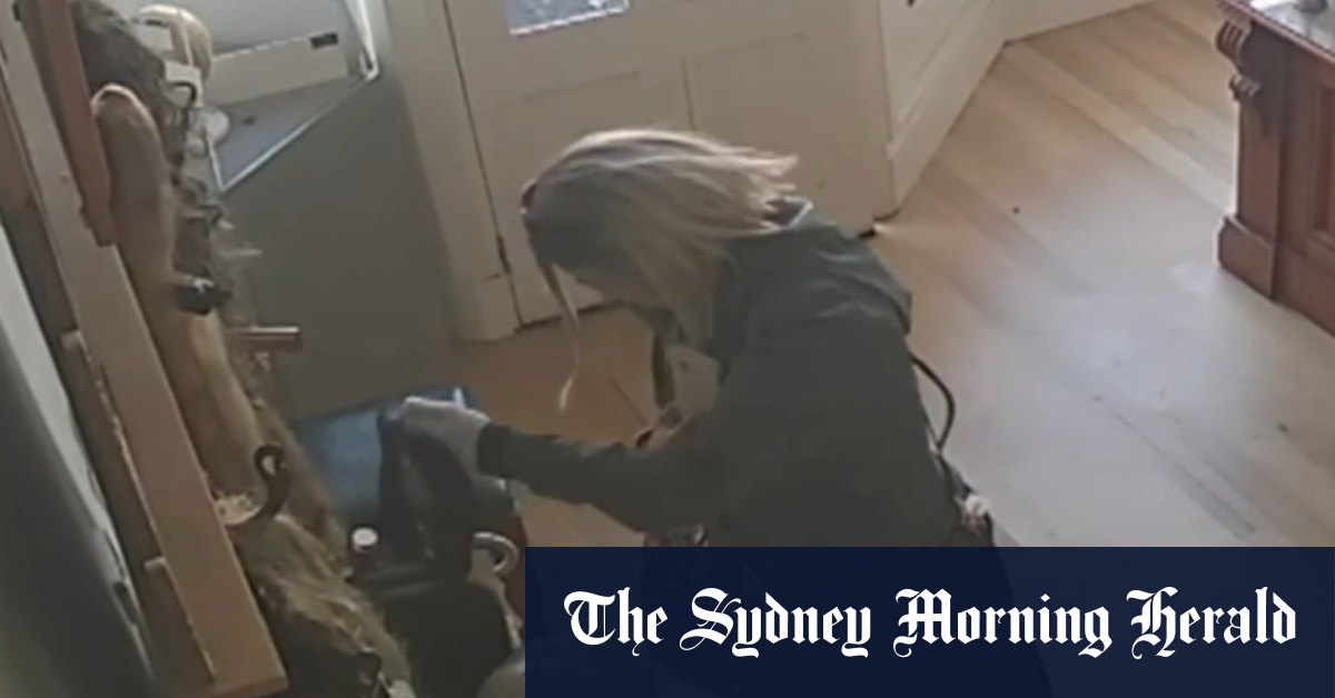 Woman accused of stealing wigs bound for child cancer patients