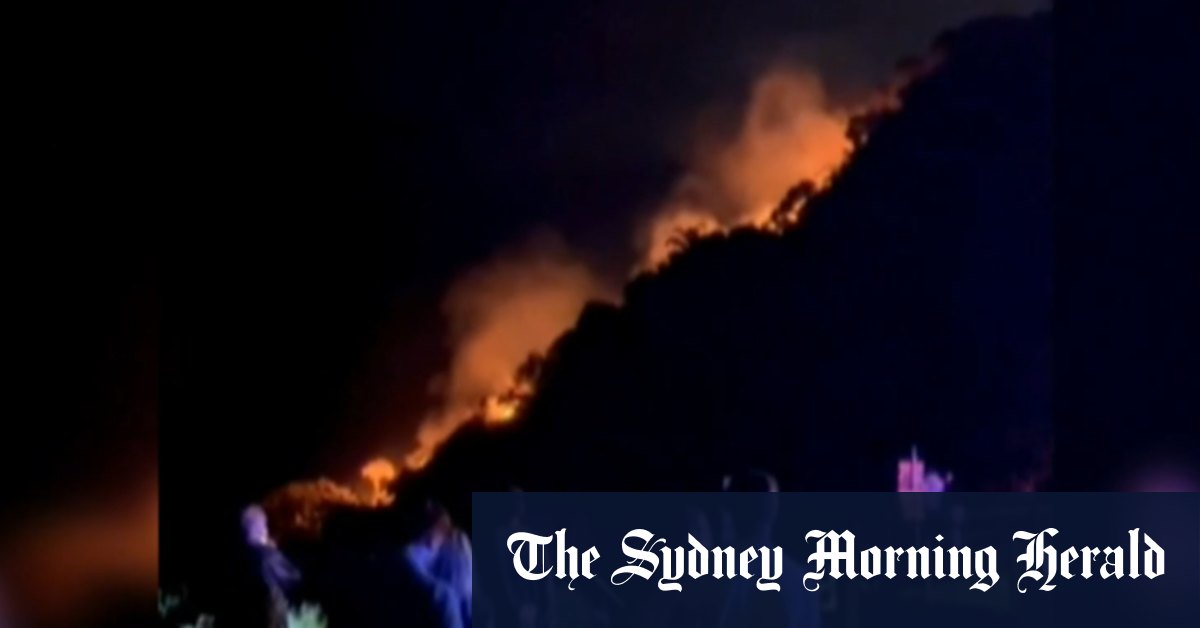 Disturbing video surfaces after national park fire