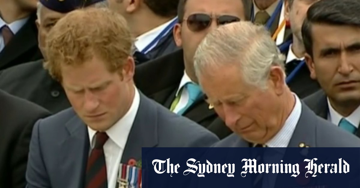 Charles and Harry reunion