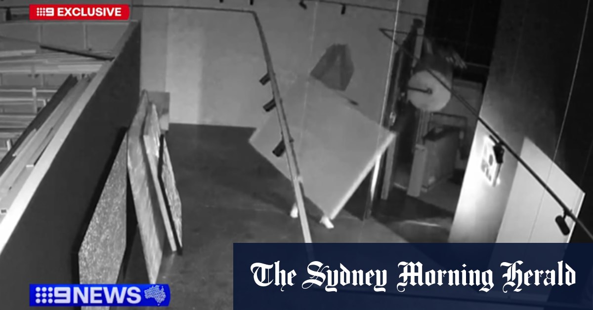 Priceless painting to raise funds for newborn care stolen in brazen heist