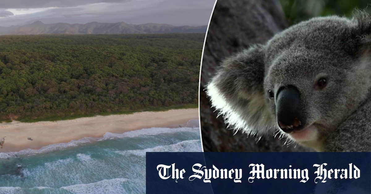 Inside the Great Koala National Park