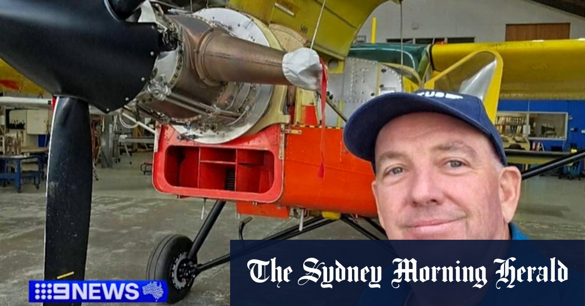 Pilot dies, eight skydivers safe after plane crash