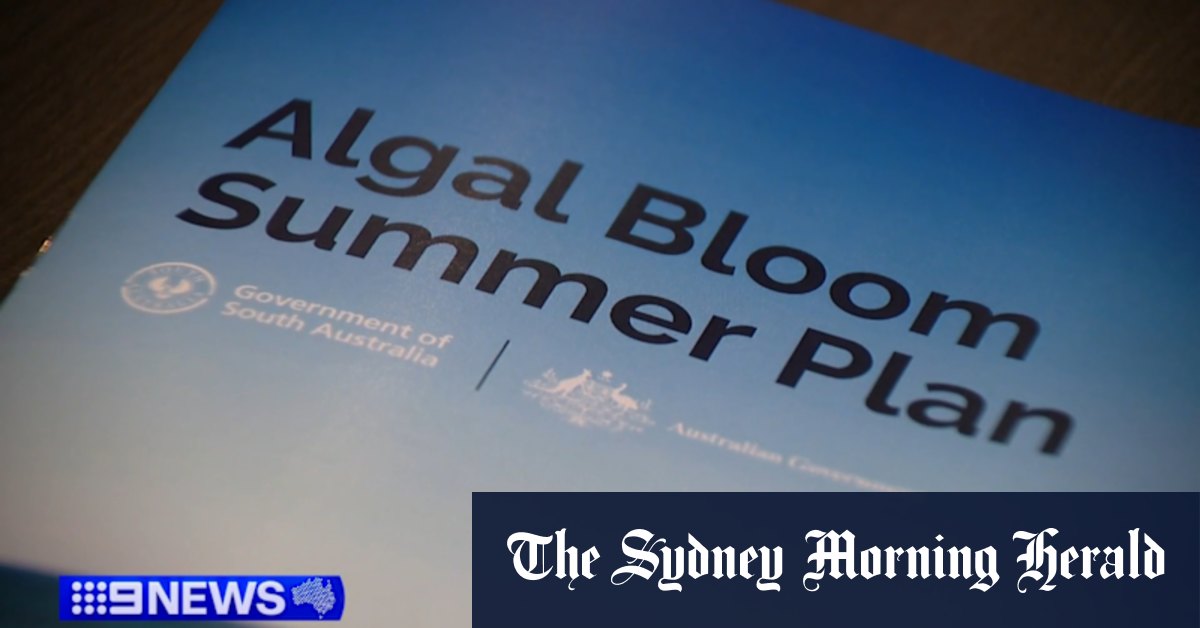 2.5 million plan to manage algal bloom in the summer