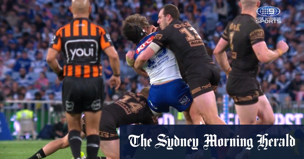 Panthers utility placed on report