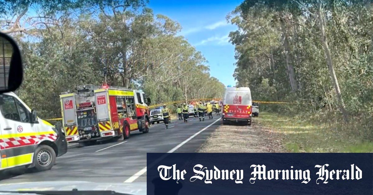 A man has died after a sky-diving plane crashed in NSW